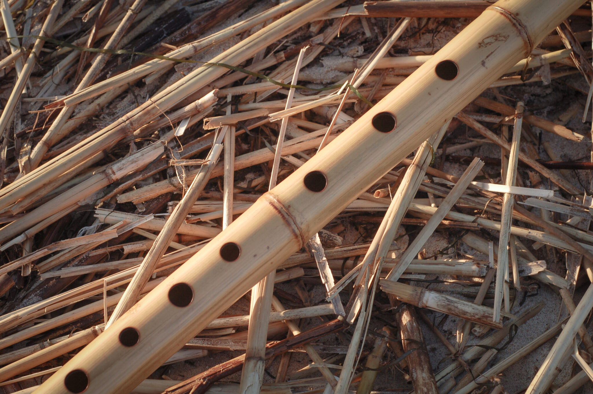 8 hole bamboo flute Abedabun Flutes