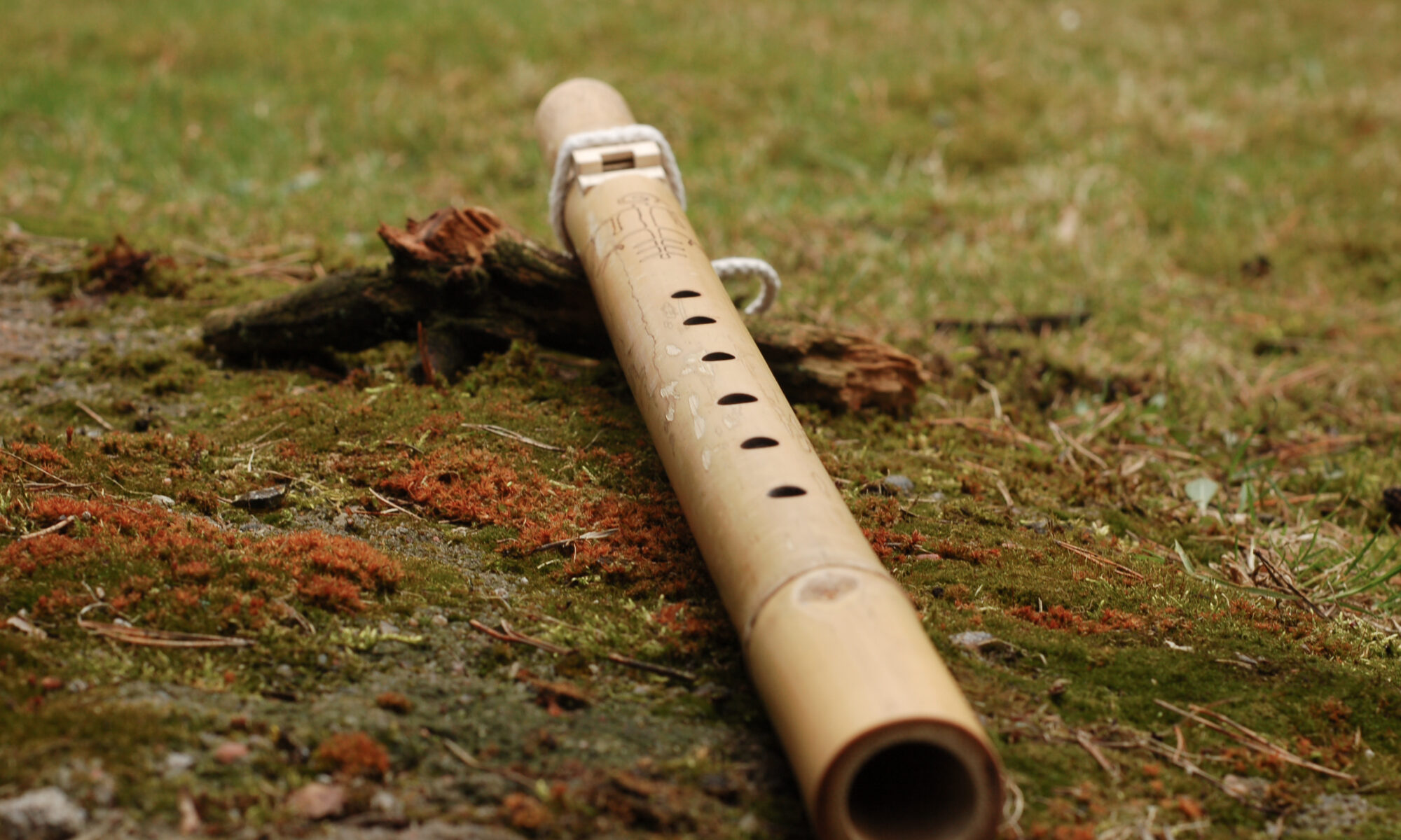 native american flute bamboo E